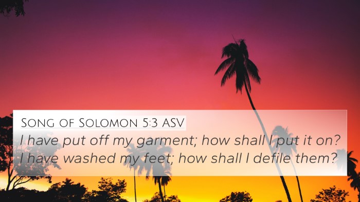 Song of Solomon 5:3 ASV 4K Wallpaper - I have put off my garment; how shall I put it on? - 4K Wallpaper Bible Verse