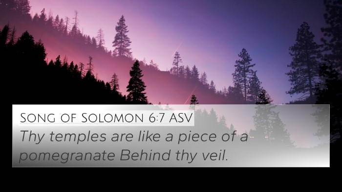 Song of Solomon 6:7 ASV Bible Verse Image