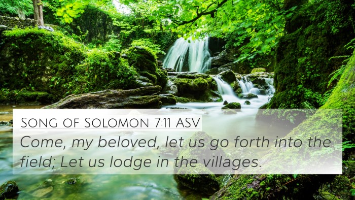 Song of Solomon 7:11 ASV Bible Verse Image