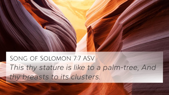Song of Solomon 7:7 ASV 4K Wallpaper - This thy stature is like to a palm-tree, And thy - 4K Wallpaper Bible Verse