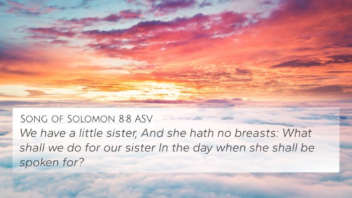Song of Solomon 8:8 ASV Bible Verse Image
