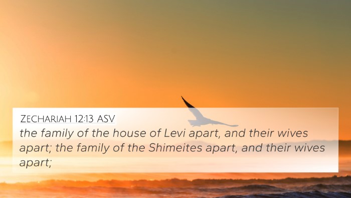 Zechariah 12:13 ASV Bible Verse Image