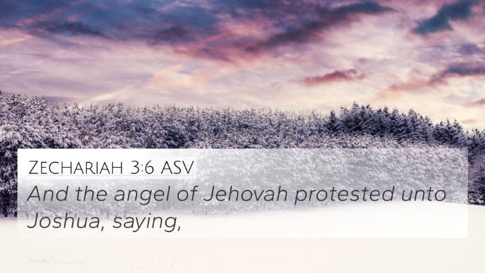 Zechariah 3:6 ASV Bible Verse Image