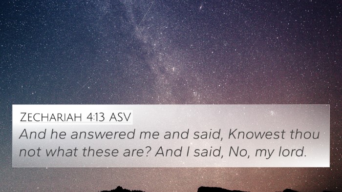 Zechariah 4:13 ASV Bible Verse Image