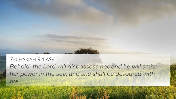 Zechariah 9:4 ASV Bible Verse Image