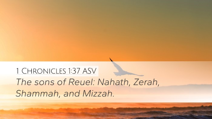 1 Chronicles 1:37 ASV Bible Verse Image