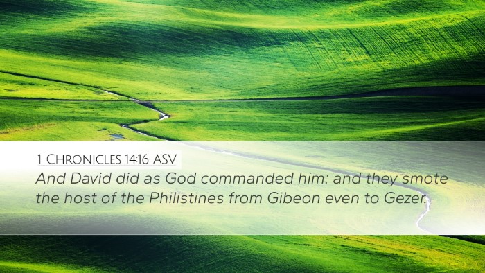 1 Chronicles 14:16 ASV Bible Verse Image