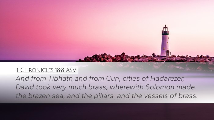 1 Chronicles 18:8 ASV Bible Verse Image