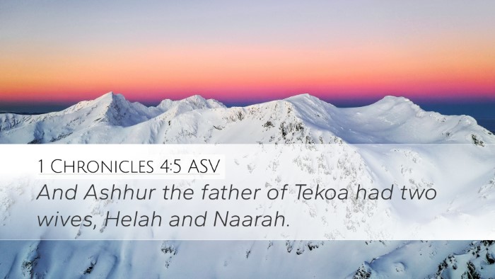 1 Chronicles 4:5 ASV Desktop Wallpaper - And Ashhur the father of Tekoa had two wives, - Desktop Bible Verse Wallpaper