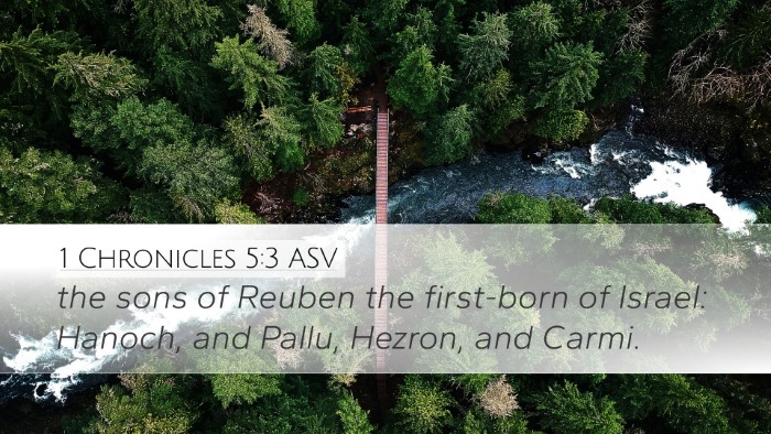 1 Chronicles 5:3 ASV Desktop Wallpaper - the sons of Reuben the first-born of Israel: - Desktop Bible Verse Wallpaper