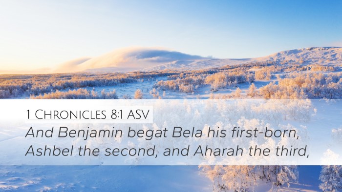 1 Chronicles 8:1 ASV Desktop Wallpaper - And Benjamin begat Bela his first-born, Ashbel - Desktop Bible Verse Wallpaper