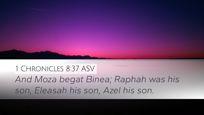 1 Chronicles 8:37 ASV Bible Verse Image