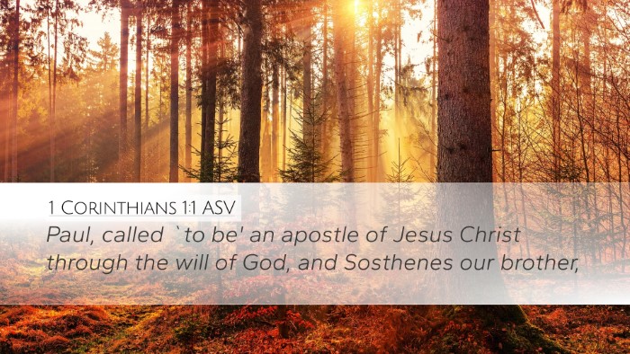 1 Corinthians 1:1 ASV Bible Verse Image