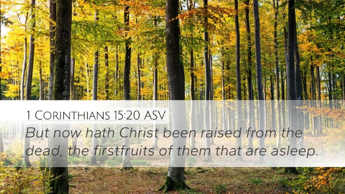 1 Corinthians 15:20 ASV Bible Verse Image