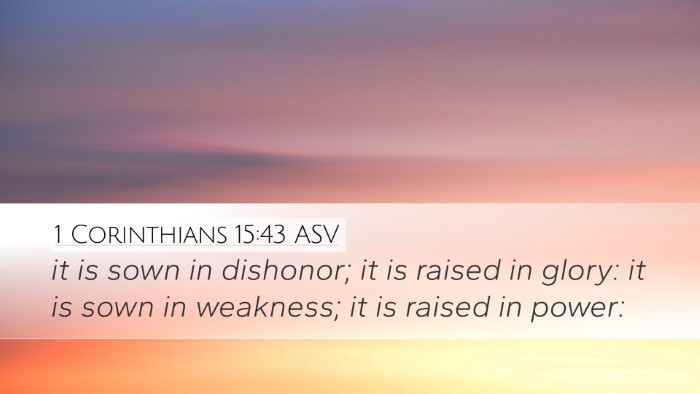 1 Corinthians 15:43 ASV Bible Verse Image