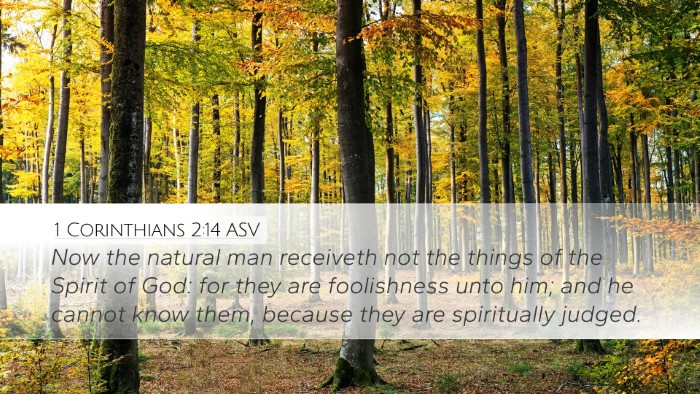 1 Corinthians 2:14 ASV Bible Verse Image