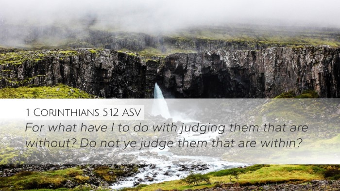 1 Corinthians 5:12 ASV Bible Verse Image