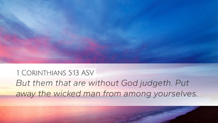 1 Corinthians 5:13 ASV Bible Verse Image