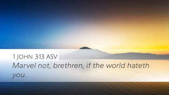 1 John 3:13 ASV Bible Verse Image