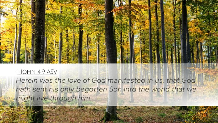 1 John 4:9 ASV Bible Verse Image