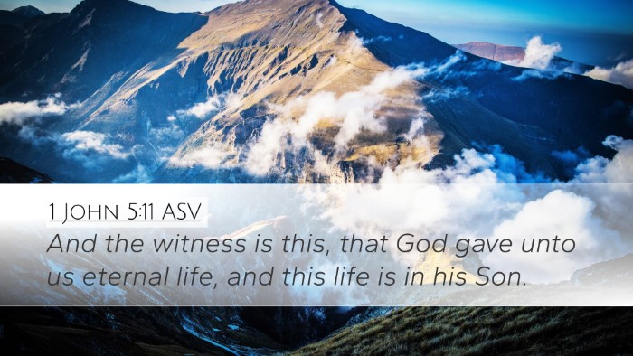 1 John 5:11 ASV Bible Verse Image