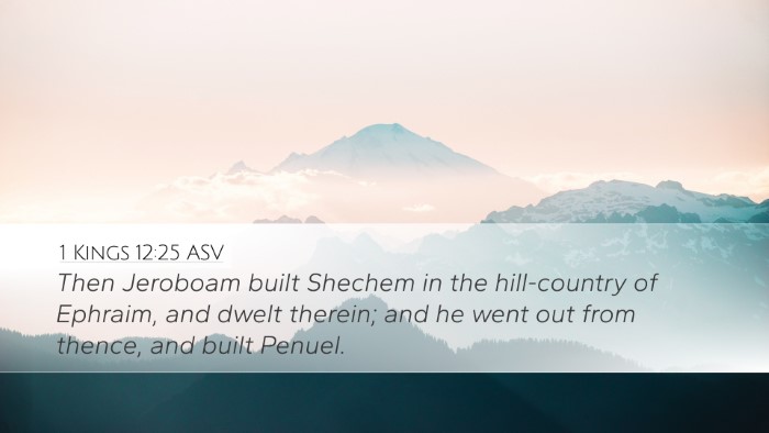 1 Kings 12:25 ASV Bible Verse Image