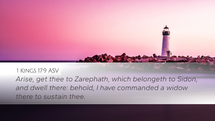 1 Kings 17:9 ASV Bible Verse Image