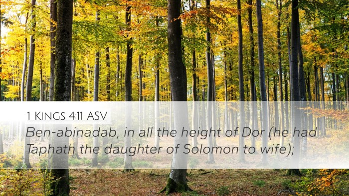 1 Kings 4:11 ASV Bible Verse Image