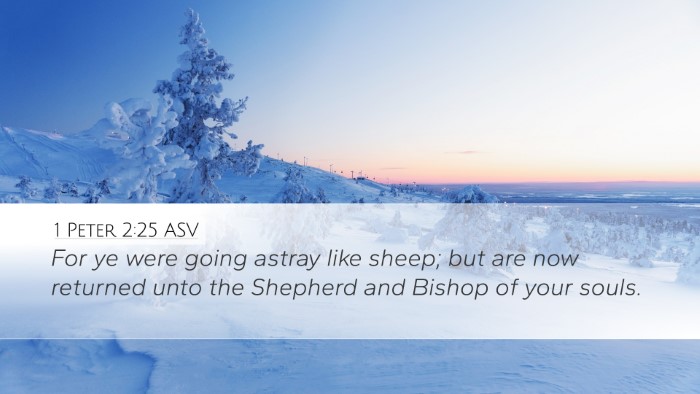1 Peter 2:25 ASV Bible Verse Image