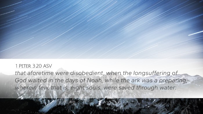 1 Peter 3:20 ASV Bible Verse Image
