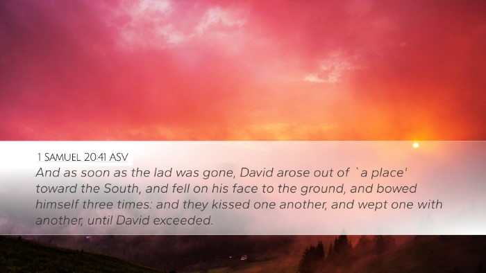 1 Samuel 20:41 ASV Bible Verse Image