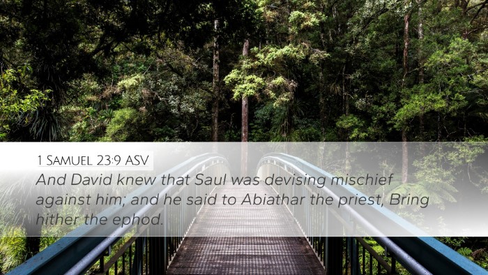 1 Samuel 23:9 ASV Bible Verse Image