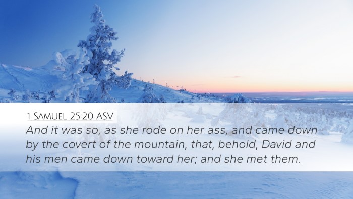 1 Samuel 25:20 ASV Desktop Wallpaper - And it was so, as she rode on her ass, and came - Desktop Bible Verse Wallpaper
