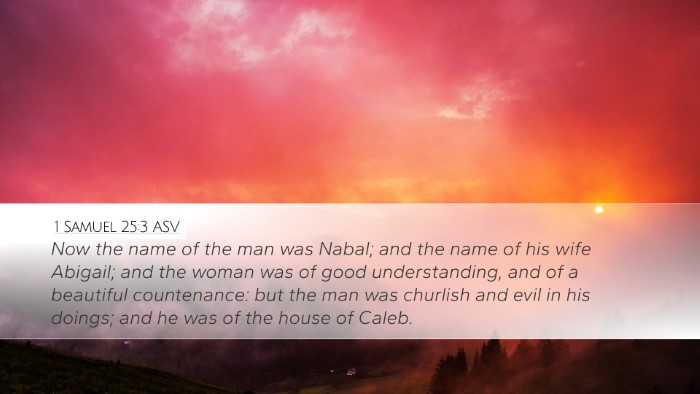 1 Samuel 25:3 ASV Bible Verse Image