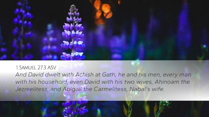 1 Samuel 27:3 ASV Bible Verse Image