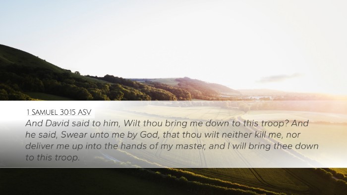 1 Samuel 30:15 ASV Bible Verse Image