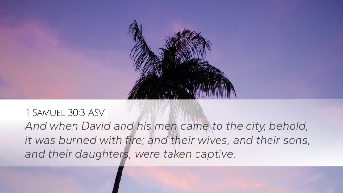 1 Samuel 30:3 ASV Bible Verse Image