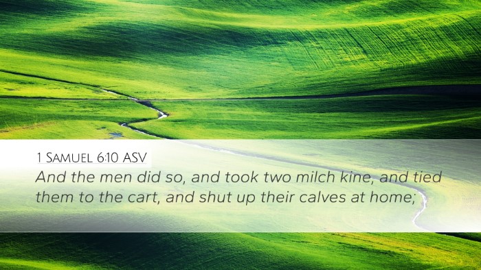 1 Samuel 6:10 ASV Desktop Wallpaper - And the men did so, and took two milch kine, and - Desktop Bible Verse Wallpaper