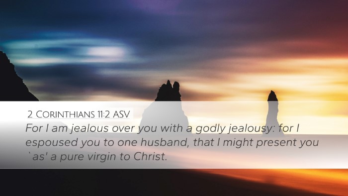 2 Corinthians 11:2 ASV Bible Verse Image