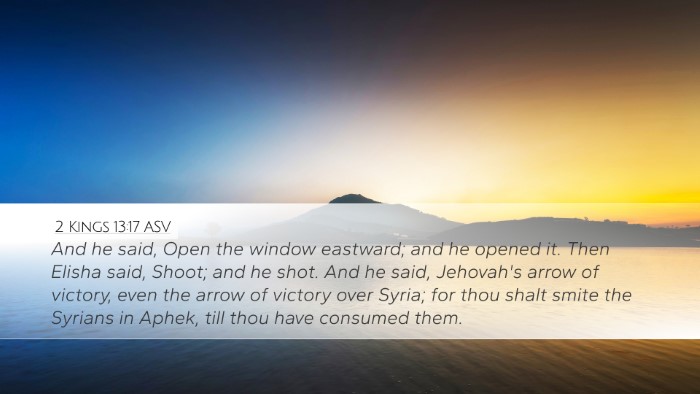 2 Kings 13:17 ASV Bible Verse Image