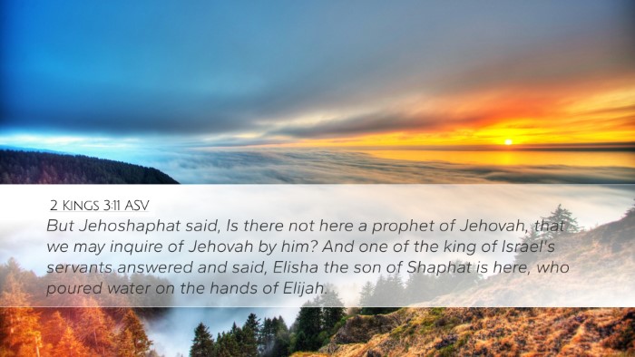 2 Kings 3:11 ASV Bible Verse Image