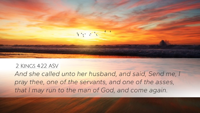 2 Kings 4:22 ASV Bible Verse Image