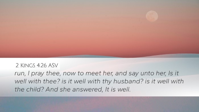 2 Kings 4:26 ASV Bible Verse Image