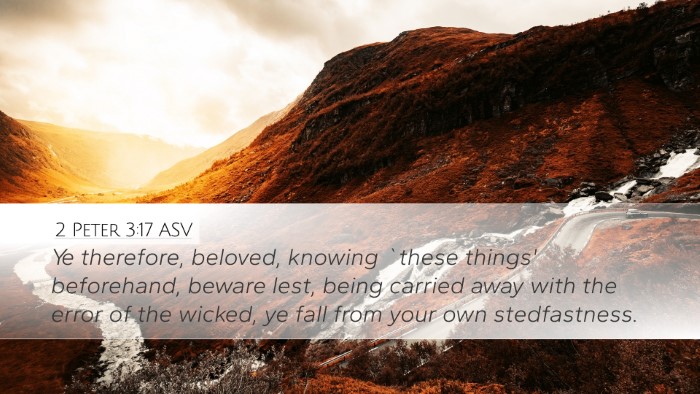 2 Peter 3:17 ASV Bible Verse Image