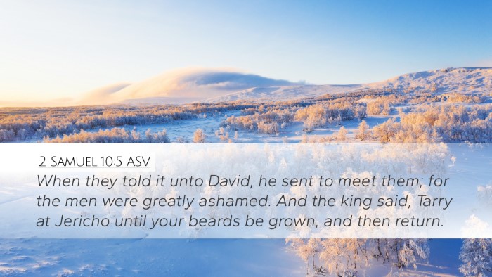 2 Samuel 10:5 ASV Desktop Wallpaper - When they told it unto David, he sent to meet - Desktop Bible Verse Wallpaper
