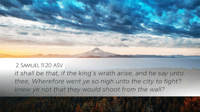 2 Samuel 11:20 ASV Desktop Wallpaper - it shall be that, if the king's wrath arise, and - Desktop Bible Verse Wallpaper