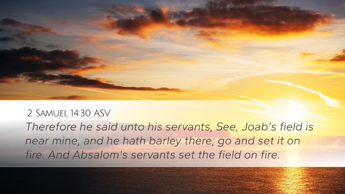 2 Samuel 14:30 ASV Bible Verse Image
