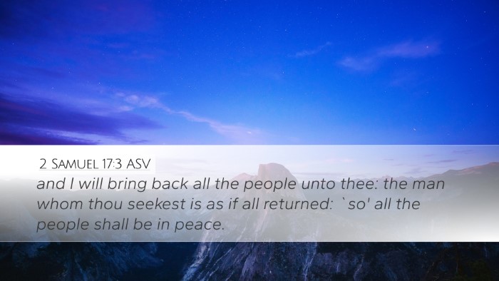 2 Samuel 17:3 ASV Bible Verse Image
