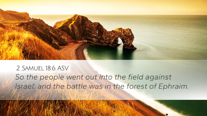 2 Samuel 18:6 ASV Bible Verse Image