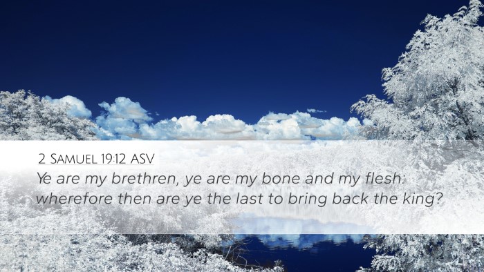 2 Samuel 19:12 ASV Bible Verse Image